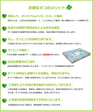 出産 入学 内祝い リッチ で 重厚 大人 の 焼き菓子 洋菓子 詰合せ 10個 スイーツ入学祝い 初節句 結婚祝い 出産祝い お返し お祝い返し 出産内祝い おしゃれ 名入れ メッセージ カード 1歳 誕生日 母の日 父の日 プレゼント ギフト お中元 七五三 (AD)軽