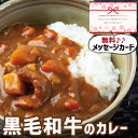 おかず 出産内祝い ギフト 黒毛和牛 欧風 ビーフ カレー 写真入り 名入れ カード 出産 内祝い 結婚 食べ物 グルメ 産直 人気 (SK)軽 内祝いギフト ...