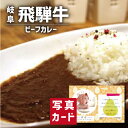 出産内祝い ギフト 飛騨牛 ビーフカレー 出産 内祝い 結婚 退職 お返し グルメ 食べ物 人気 (SK)軽 送料無料 グルメ 高級 誕生日 贈り物 結婚内祝い 名入れ 産直グルメ お取り寄せ 1歳 内祝い 5000円 五千円 食品 ランキング 写真入り お中元 サマーギフト 自分へのご褒美