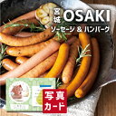 出産内祝い ギフト 宮城 ソーセージ 生ハンバーグ セット 出産 内祝い 結婚 お返し 肉 グルメ 人気 (SK)軽 グルメ 高級 退職 誕生日 贈り物 結婚内...