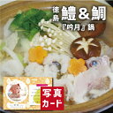 出産内祝い ギフト 徳島 吟月 はも 鯛 鍋 出産 内祝い 結婚 お返し グルメ 食べ物 人気 (SK)軽 送料無料 グルメ 高級 誕生日 贈り物 結婚内祝い ...