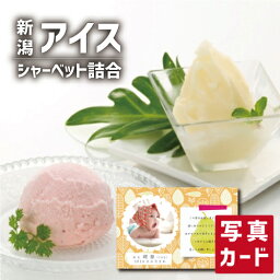 【 出産内祝い ギフト 】 新潟産 果物 アイスクリーム 詰合せ 出産 内祝い 結婚 お返し スイーツ 洋菓子 人気 (SK)軽 グルメ 高級 退職 誕生日 贈り物 結婚内祝い 産地直送 お取り寄せ 1歳 内祝い 5000円 食品 母の日