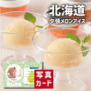 お中元 夏ギフト 出産内祝い ギフト 夕張メロン アイス 17個 出産 内祝い 結婚 スイーツ アイスクリーム 洋菓子 人気 (SK)軽 グルメ 高級 誕生日 贈り物 結婚内祝い 産直グルメ お取り寄せ 1歳 6000円 食品 ランキング 80代 送料無料 サマーギフト 自分へのご褒美 暑中見舞い