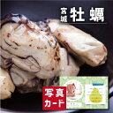\10%OFF/ 出産内祝い ギフト 宮城 牡蠣 セット 出産 内祝い 結婚 お返し グルメ 海鮮 食べ物 人気 (SK)軽 グルメ 高級 退職 誕生日 贈り物 結婚内祝い 名入れ 産直グルメ お取り寄せ 1歳 5000円 五千円ランキング お返し 写真入り 入学 入学祝い 入学内祝い 父の日 お中元