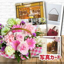 フラワーギフト カタログギフト と 生花 スイート P アレンジ カゴ付き 花とカタログ 結婚祝い 退職祝い 誕生日プレゼント お祝い 退院祝い 喜ばれるギフト...
