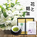 生花 お供え 花 お悔やみ 白 L アレンジメント カゴ付き と 最高位十段監修 お茶 セット御供 御供え物 お供え物 供花 葬儀 花籠 お彼岸 枕花 飾り 初盆 新盆 法事 仏事 弔事 命日 月命日 一周忌 三周忌 初七日 四十九日 法要 仏壇花 仏花 喪中見舞 (HM) 1dy 敬老の日 孫