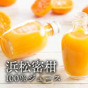 お中元 夏ギフト 浜松の蜜柑 無添加 果汁100% ジュース 新築内祝い お返し 職場 半返し ママ友 身内 品物 新居 快気祝い 快気内祝い 合格祝い 就職祝い お見舞い 退院祝い お礼 50代 60代 70代 お供え 通販 還暦 古希 3000円 (KM)軽 ギフト プレゼント 香典返し