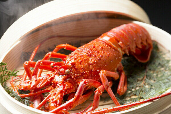 内祝い グルメ 10000円 天然伊勢海老 活〆生冷凍 (約300gx2尾) 食品 新築内祝い 両親 お返し 親 職場 半返し ママ友 身内 品物 新居 快気祝い 快気内祝い 合格祝い お見舞い 退院祝い お礼 50代 60代 70代 お供え 通販 還暦 (KM)軽 ギフト 成人式 誕生日