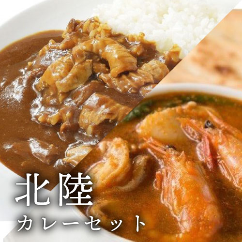 お中元 夏ギフト 北陸の絶品カレー 食品 新築内祝い 両親 お返し 職場 半返し ママ友 身内 品物 新居 快気祝い 快気内祝い 合格祝い 就..