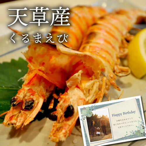 天草産車海老 活〆生冷凍 食品 新築内祝い 両親 お返し 親 親戚 職場 半返し ママ友 身内 品物 新居 快気祝い 快気内祝い 合格祝い 就職祝い お見舞い お返し 退院祝い お礼 50代 60代 70代 お供え 通販 還暦 古希 10000円 (KM)軽 ギフト 入学内祝い 出産 内祝い 結婚 退職