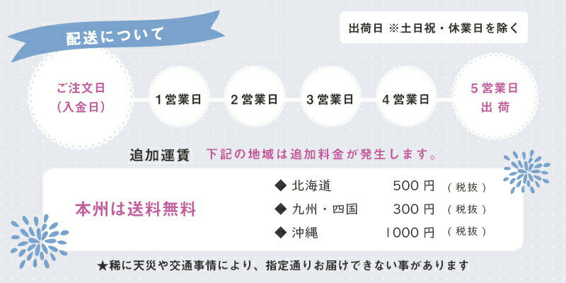 ツインバード ハンディアイロン＆スチーマー ピンク 新築内祝い 両親 お返し 親 親戚 職場 半返し ママ友 身内 品物 新居 快気祝い 快気内祝い 合格祝い 就職祝い お見舞い お返し 退院祝い お礼 ハイセンス 50代 60代 70代 お供え 通販 還暦 古希 5000円 10000円 (SD)