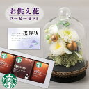 お供え 花 プリザーブドフラワー すずね ガラスドーム と スタバ ギフト スターバックス コーヒー 珈琲 ドリンク 御供 御供え物 お供え物 供花 お彼岸 枕...