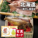 お中元 夏ギフト 北海道 一夜干し詰合せ A グルメ 海鮮 食べ物 新築内祝い 両親 お返し 職場 半返し ママ友 女友達 身内 品物 快気祝い 快気内祝い 就...