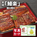 こだわり ギフト 宮崎 うなぎ蒲焼 切身 グルメ 海鮮 食べ物 新築内祝い お返し 職場 半返し ママ友 女友達 身内 品物 快気祝い 快気内祝い 就職祝い お...