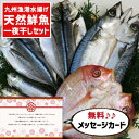 お中元 夏ギフト 九州 一夜干し 4種セット グルメ 海鮮 食べ物 新築内祝い 両親 お返し 職場 半返し ママ友 女友達 身内 品物 快気祝い 快気内祝い お...