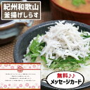 お中元 夏ギフト 紀州 かまあげしらす グルメ 海鮮 食べ物 新築内祝い 両親 お返し 職場 半返し 女友達 身内 品物 快気祝い 快気内祝い 就職祝い お見舞...
