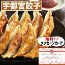 こだわり ギフト 宇都宮餃子 さつき セット A 食べ物 グルメ おかず 新築内祝い 両親 お返し 親戚 職場 半返し ママ友 女友達 身内 品物 快気祝い 快...