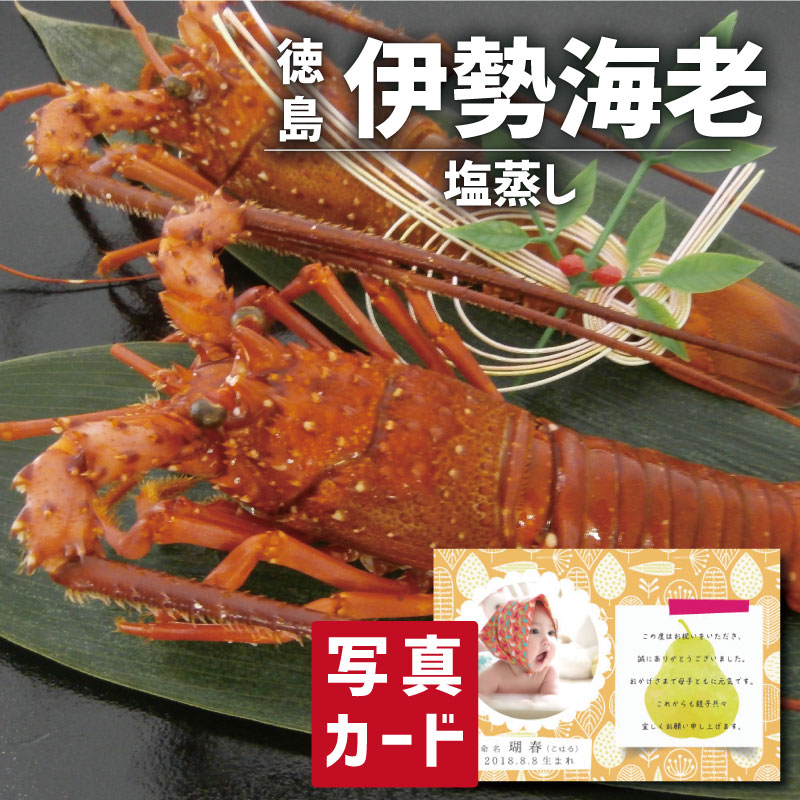 渵 ƥե  Ϸα   ʪ ˤ ξ ֤  Ⱦ֤ ޥͧ ͧã  ʪ ˤ...