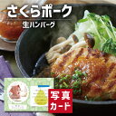 お中元 夏ギフト さくらポーク生ハンバーグセット 食べ物 グルメ おかず 新築内祝い 両親 お返し 職場 半返し ママ友 女友達 身内 品物 快気祝い 快気内祝...