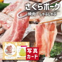 お中元 夏ギフト さくらポーク 焼肉 & しゃぶしゃぶ セット 豚肉 新築内祝い 両親 お返し 職場 半返し ママ友 女友達 身内 品物 快気祝い 快気内祝い ...