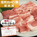 信州オレイン豚 焼肉 食べ物 グルメ ブランド豚 豚肉 新築内祝い 両親 お返し 親 親戚 職場 半返し ママ友 身内 品物 新居 快気祝い 快気内祝い 合格祝い 就職祝い お見舞い お返し 退院祝い お礼 ハイセンス 通販 還暦 古希 3000円 (SK)軽