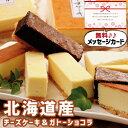 こだわり ギフト 誕生日ケーキ 北海道 十勝 チーズケーキ & ガトーショコラ スイーツ 新築内祝い お返し 職場 半返し ママ友 身内 品物 快気祝い 快気内...