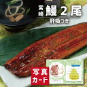 お中元 夏ギフト 宮崎県産 うなぎ 2尾(肝吸付き) グルメ 海鮮 食べ物 新築内祝い 両親 お返し 職場 半返し ママ友 女友達 身内 品物 快気祝い 快気内...