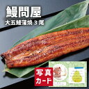 お中元 夏ギフト うなぎ問屋の大五鰻蒲焼3尾セット 海鮮 食べ物 新築内祝い お返し 職場 半返し ママ友 女友達 身内 品物 快気祝い 快気内祝い 就職祝い お見舞い お返し お礼 還暦 古希 10000円 (SK)軽 ギフト 出産 内祝い 結婚 香典返し 退院祝い