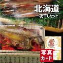 お中元 夏ギフト 北海道 一夜干し 詰合せ グルメ 海鮮 食べ物 新築内祝い 両親 お返し 職場 半返し ママ友 女友達 身内 品物 快気祝い 快気内祝い 就職...