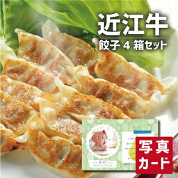 近江牛 餃子 4箱 セット グルメ 食べ物 新築内祝い 両親 お返し 親 親戚 職場 半返し ママ友 身内 品物 新居 快気祝い 快気内祝い 合格祝い 就職祝い お見舞い お返し 退院祝い お礼 ハイセンス 50代 60代 70代 通販 還暦 古希 10000円 (SK)軽