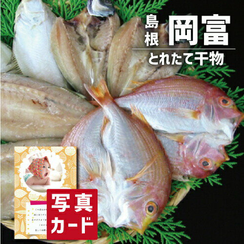 島根県産 とれたて干物 セット グルメ 海鮮 食べ物 新築内祝い 両親 お返し 親 親戚 職場 半返し ママ友 身内 品物 新居 快気祝い 快気内祝い 合格祝い 就職祝い お見舞い お返し 退院祝い お礼 ハイセンス 50代 60代 70代 通販 還暦 古希 5000円 10000円 (SK)軽