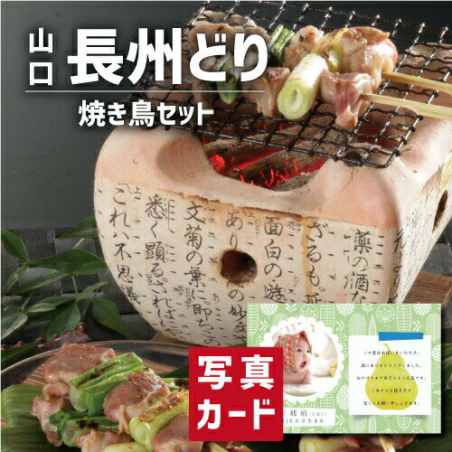 長州どり 焼き鳥 セット 肉 グルメ 国産 鶏肉 新築内祝い 両親 お返し 親 親戚 職場 半返し ママ友 身..