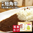 お中元 夏ギフト 北海道 短角牛カレー グルメ 食べ物 新築内祝い 両親 お返し 職場 半返し ママ友 女友達 身内 品物 快気祝い 快気内祝い 就職祝い お見舞い お礼 プレゼント 50代 60代 70代 還暦 古希 5000円 (SK)軽 出産 内祝い 結婚 退院祝い