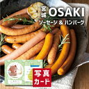 お中元 夏ギフト 宮城 ソーセージ 生ハンバーグ セット 肉 グルメ 新築内祝い 両親 お返し 職場 半返し ママ友 女友達 身内 品物 快気祝い 快気内祝い 就職祝い お見舞い お返し 退院祝い お礼 還暦 5000円 (SK)軽 ギフト 出産 内祝い 結婚 自分へのご褒美