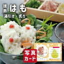 お中元 夏ギフト 徳島 吟月 はも 湯引き 炙り 詰合 海鮮 食べ物 新築内祝い 両親 お返し 親 親戚 職場 半返し 身内 品物 快気祝い 快気内祝い 就職祝...