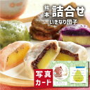 \10%OFF/ 父の日 ギフト 芋屋長兵衛 お芋のカラフルセット スイーツ 和菓子 新築内祝い 両親 お返し 親戚 職場 半返し 身内 品物 快気祝い 快気内祝い 就職祝い お見舞い お返し 退院祝い お礼 お供え 還暦 5000円 (SK)軽 ギフト 入学内祝い 出産 内祝い 結婚 お中元