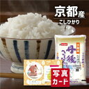 人気ランキング第26位「お返しギフトと内祝いのアイプレ」口コミ数「0件」評価「0」京都府産 丹後こしひかり ブランド米 国産米 米 和食 新築内祝い 両親 お返し 親 親戚 職場 半返し ママ友 身内 品物 新居 快気祝い 快気内祝い 合格祝い 就職祝い お見舞い お返し 退院祝い お礼 ハイセンス 通販 還暦 古希 10000円 (SK)軽