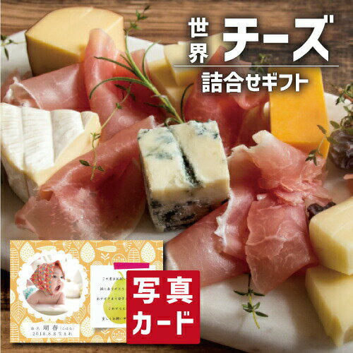 こだわり ギフト 世界のチーズ 詰め合わせ グルメ 食べ物 新築内祝い 両親 お返し 親戚 職場 半返し ママ友 女友達 身内 品物 快気祝い 快気内祝い 合格祝い 就職祝い お見舞い お返し お礼 50代 60代 70代 還暦 古希 5000円 (SK)軽 ギフト 入学内祝い 出産 内祝い 結婚 退職