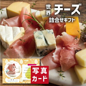 世界のチーズ 詰め合わせ 食べ物 食品 食品ギフト 新築内祝い 両親 お返し 親 親戚 職場 半返し ママ友 身内 品物 新居 快気祝い 快気内祝い 合格祝い 就職祝い お見舞い お返し 退院祝い お礼 ハイセンス 50代 60代 70代 お供え 通販 還暦 古希 5000円 10000円 (SK)軽