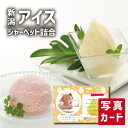 お中元 夏ギフト 新潟産 果物 アイスクリーム 詰合せ スイーツ 洋菓子 新築内祝い 両親 お返し 職場 半返し ママ友 身内 品物 快気祝い 快気内祝い 就職...