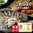 お中元 夏ギフト 大分豊後産 とらふぐ 炙り 唐揚げ 海鮮 食べ物 新築内祝い 両親 お返し 親 親戚 職場 半返し 身内 品物 快気祝い 快気内祝い 就職祝い...