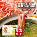 お中元 夏ギフト 鹿児島 黒豚 しゃぶしゃぶ セット 肉 豚肉 ブランド 新築内祝い 両親 お返し 職場 半返し ママ友 女友達 身内 品物 快気祝い 快気内祝...