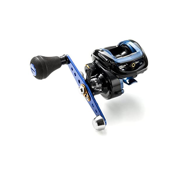 アブガルシア リール 釣り道具 釣り具 釣具 Abu Garcia (Bait Reel BLUEMAX Ship 3