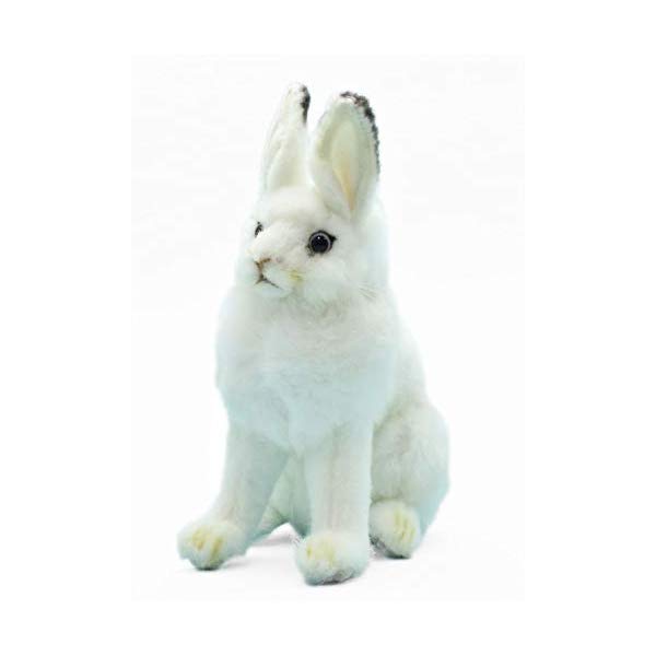 ϥ    ۥ磻  ̤ 6 Hansa Plush 6