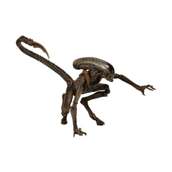 �����ꥢ�� ��������� �ե����奢 �ͷ� �ͥ� NECA Aliens - 7