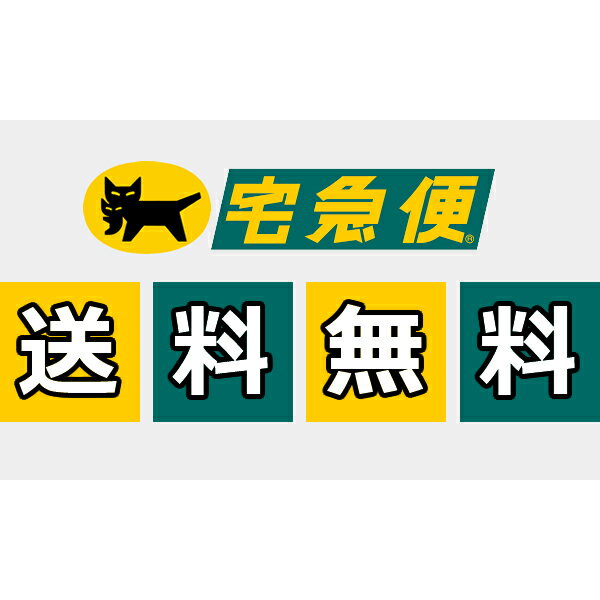 コールマン テント キャンプ アウトドア 8人用 スクリーンルーム ドーム スクリーンインポーチ付き エヴァンストン フェス ハイキング ゆるキャン Coleman Dome Tent with Screen Room | Evanston Camping Tent with Screened-In Porch