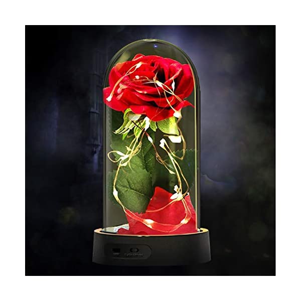 スノードーム ディズニー 美女と野獣 ベル マジカルローズ クリスマス プレゼント サンタクロース ツリー Beauty and The Beast Rose, Enchanted Red Silk Rose Lamp with 2 Mode LED Fairy String Lights, Best Gifts for Her for Valentines Day