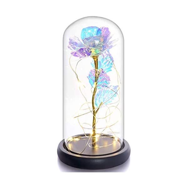 スノードーム ディズニー 美女と野獣 ベル マジカルローズ クリスマス プレゼント サンタクロース ツリー Beauty and The Beast Galaxy Rose, Crystal Rose That Lasts Forever in a Glass Dome with LED Lights,Gift for Valentine's Day Wedding Anniversary Birthdayのサムネイル