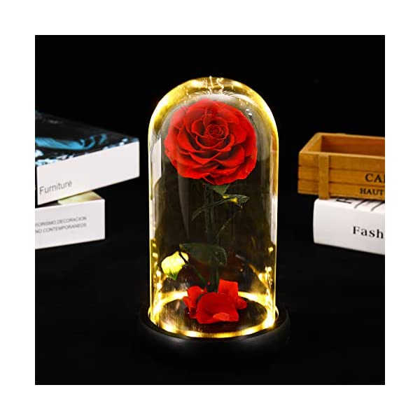 スノードーム ディズニー 美女と野獣 ベル マジカルローズ クリスマス プレゼント サンタクロース ツリー Beauty and The Beast Rose, Preserved Real Rose That Lasts Forever in a Glass Dome with LED Lights,Gift for Valentine's Day Wedding Anniversary Birthday