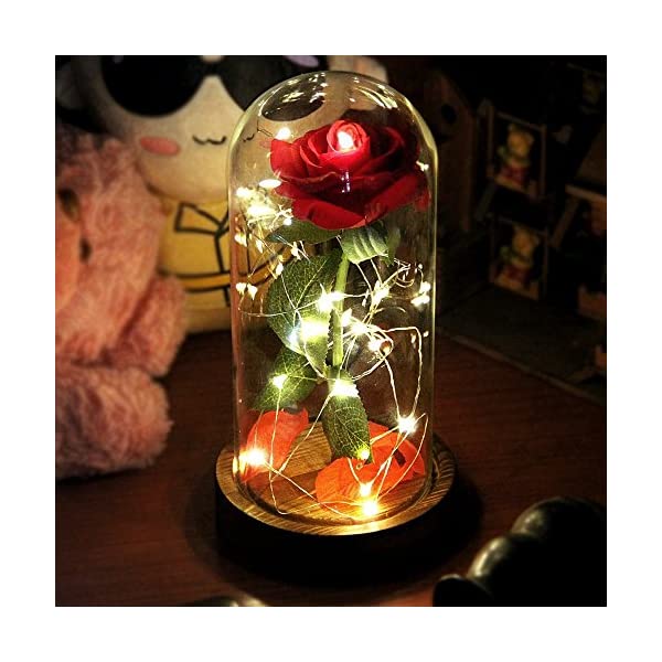 スノードーム ディズニー 美女と野獣 ベル マジカルローズ クリスマス プレゼント サンタクロース ツリー Beauty and The Beast Rose, Red Silk Rose That Lasts Forever in a Glass Dome with LED Lights,Gift for Valentine's Day Wedding Anniversary Birthdayのサムネイル